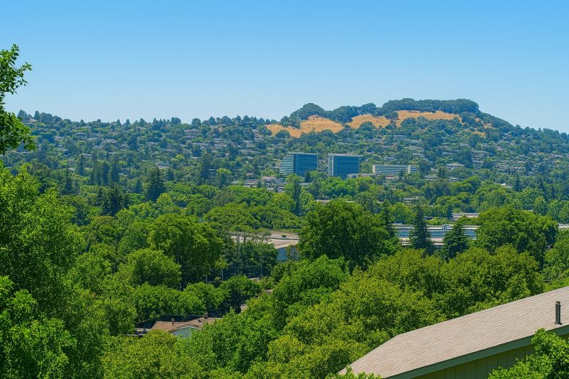 Junk Removal Service in Castro Valley, CA