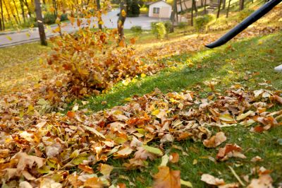 Leaf Disposal - Debris And Trash Removal Tuscaloosa, Alabama